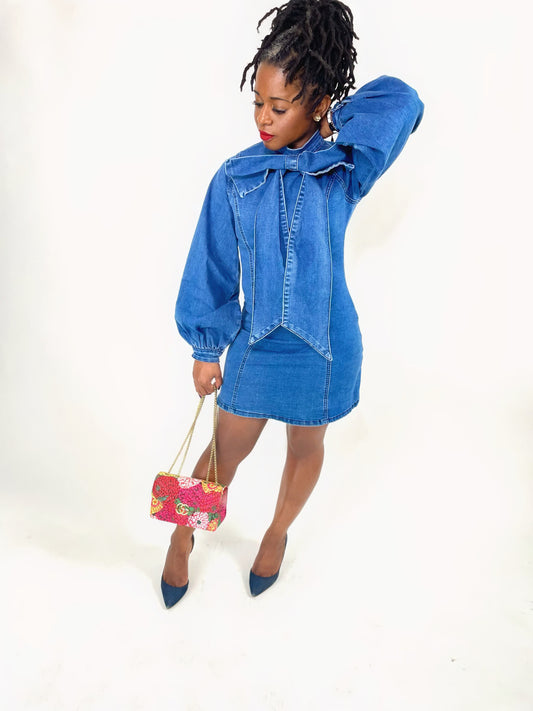 Long Sleeve Denim Dress